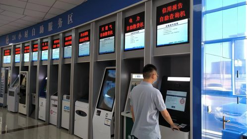 政務(wù)服務(wù)大廳創(chuàng)新便民舉措 征信報告自助查詢與物流信息咨詢服務(wù)雙入駐